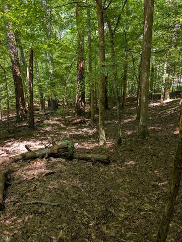 Lt 3079R Monocle Drive, Ellijay, GA 30540