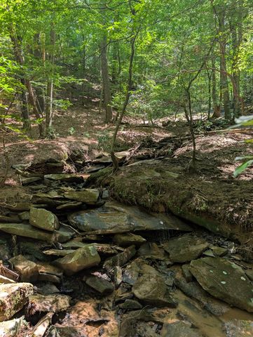 Lt 3079R Monocle Drive, Ellijay, GA 30540