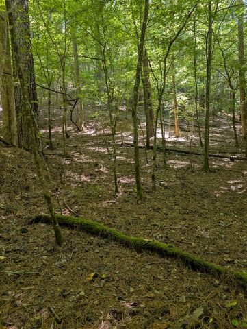 Lt 3079R Monocle Drive, Ellijay, GA 30540