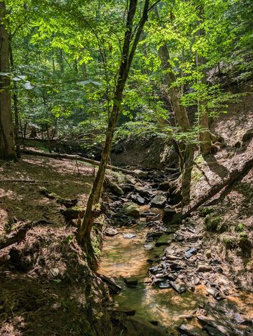 Lt 3079R Monocle Drive, Ellijay, GA 30540