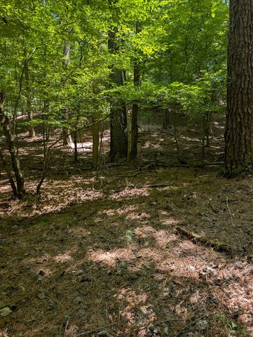 Lt 3079R Monocle Drive, Ellijay, GA 30540