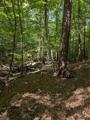 Lt 3079R Monocle Drive, Ellijay, GA 30540