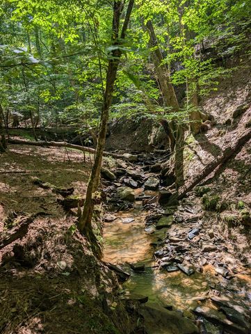 Lt 3079R Monocle Drive, Ellijay, GA 30540