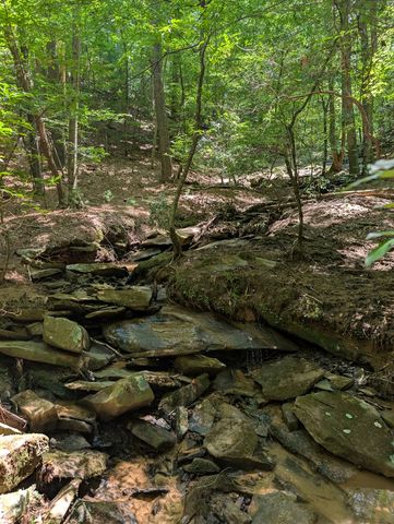 Lt 3079R Monocle Drive, Ellijay, GA 30540