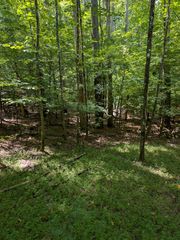 Lt 3079R Monocle Drive, Ellijay, GA 30540