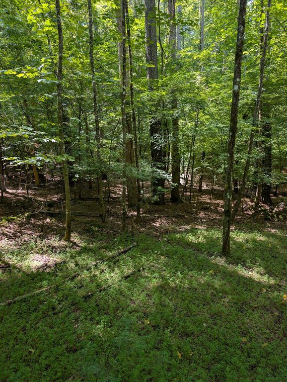 Lt 3079R Monocle Drive, Ellijay, GA 30540