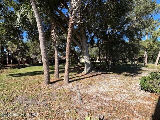 1353 Nelson Court, Rockledge, FL 32955