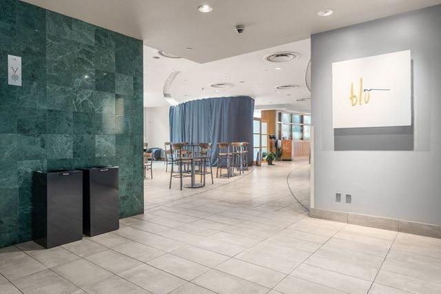 2 Avery Street 21E, Boston, MA 02111