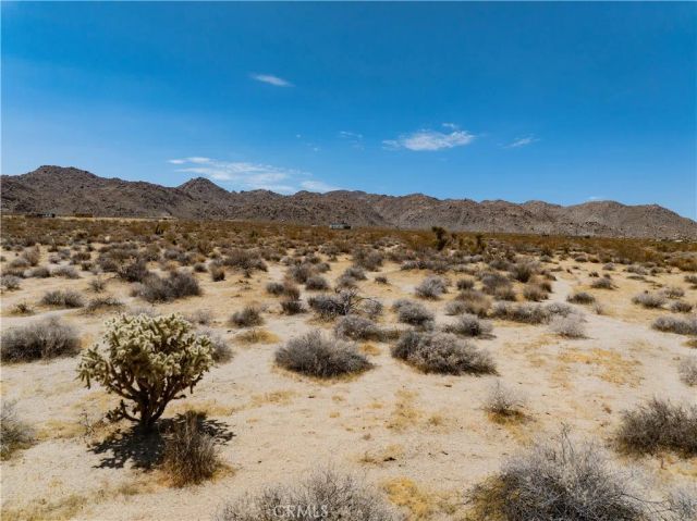 29 Palms, Joshua Tree, CA 92252