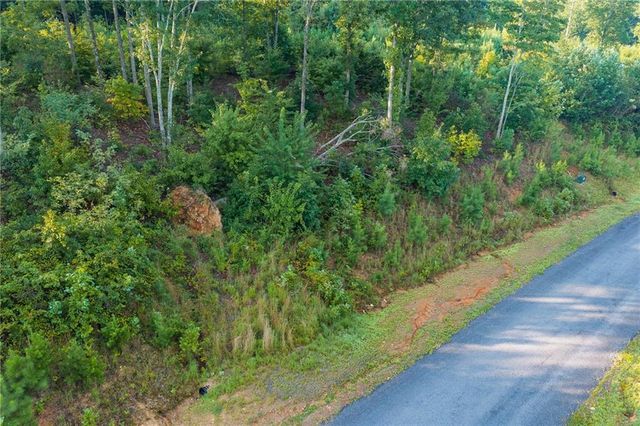 LT 191 Oak Park Drive, Talking Rock, GA 30175