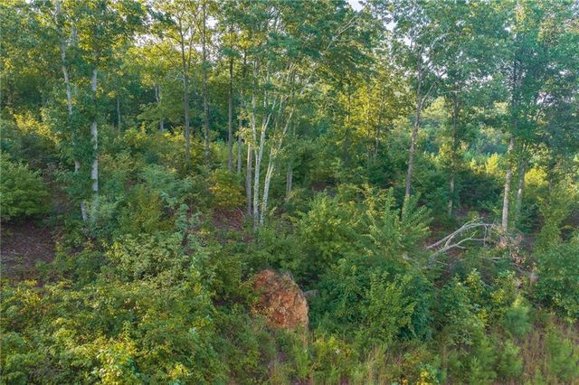 LT 191 Oak Park Drive, Talking Rock, GA 30175