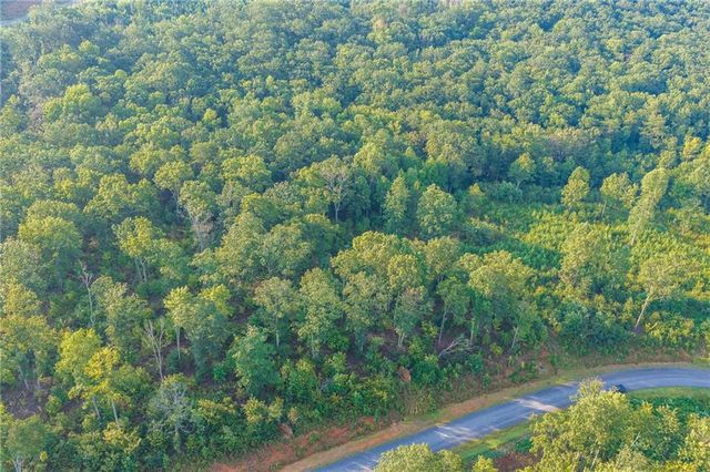 LT 191 Oak Park Drive, Talking Rock, GA 30175