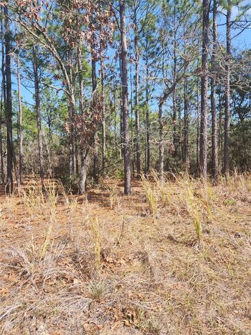 4379 N BAYWOOD DRIVE, Beverly Hills, FL 34465