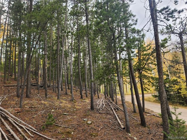 7041 Brook Forest Drive, Evergreen, CO 80439