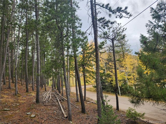 7041 Brook Forest Drive, Evergreen, CO 80439