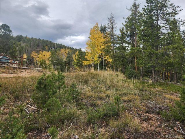 7041 Brook Forest Drive, Evergreen, CO 80439