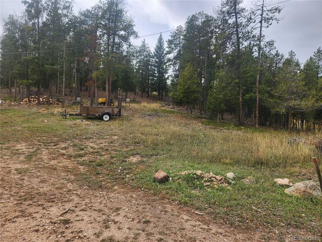 7041 Brook Forest Drive, Evergreen, CO 80439