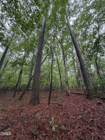 Lot 1 Claude Lewis Road, Middlesex, NC 27557