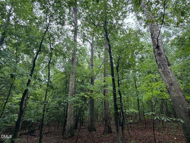 Lot 1 Claude Lewis Road, Middlesex, NC 27557