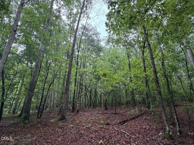 Lot 1 Claude Lewis Road, Middlesex, NC 27557