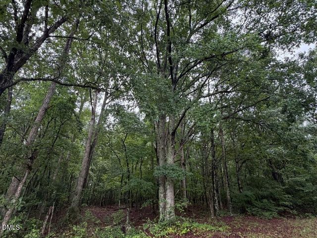 Lot 1 Claude Lewis Road, Middlesex, NC 27557