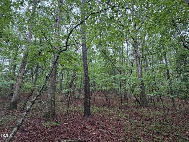 Lot 1 Claude Lewis Road, Middlesex, NC 27557