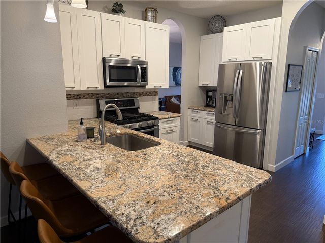 12507 BLAZING STAR DRIVE, Tampa, FL 33626