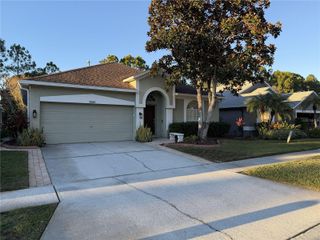 12507 BLAZING STAR DRIVE, Tampa, FL 33626