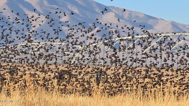 45 E Cochise Way, Cochise, AZ 85606