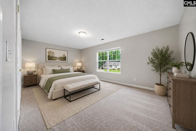 305 Cutter Court, Chapin, SC 29036