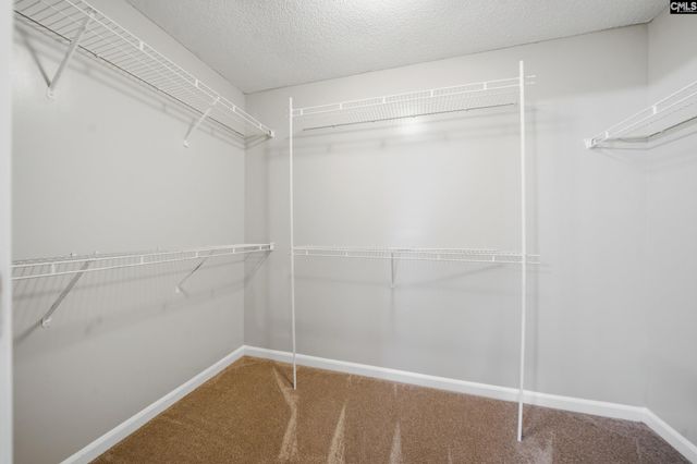 305 Cutter Court, Chapin, SC 29036
