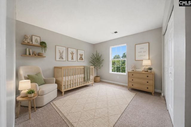 305 Cutter Court, Chapin, SC 29036