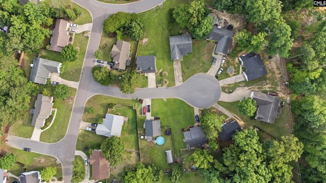 305 Cutter Court, Chapin, SC 29036