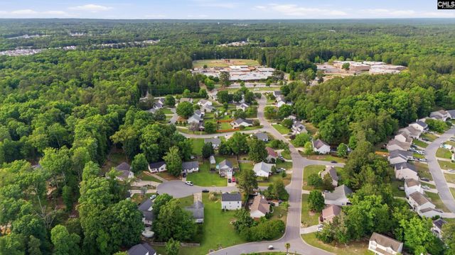 305 Cutter Court, Chapin, SC 29036