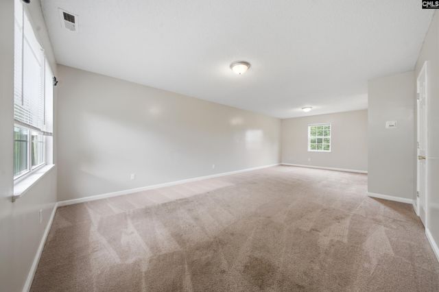 305 Cutter Court, Chapin, SC 29036