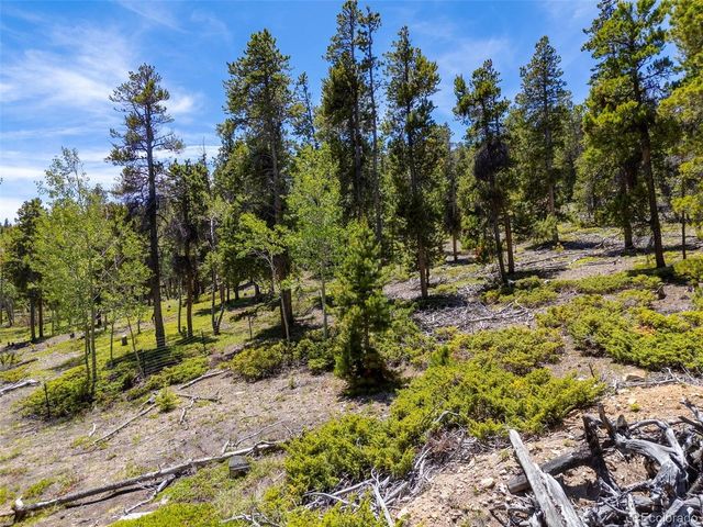 719 Miners Candle Rd, Idaho Springs, CO 80452