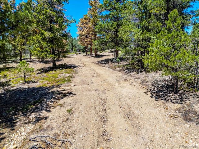 719 Miners Candle Rd, Idaho Springs, CO 80452
