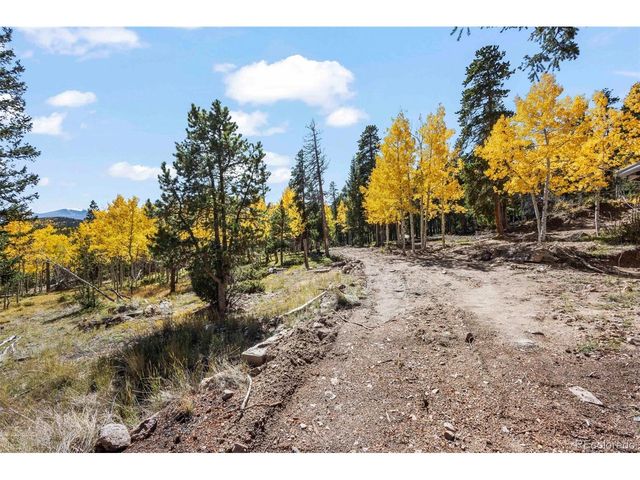 719 Miners Candle Rd, Idaho Springs, CO 80452