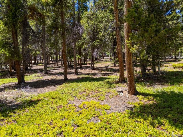 719 Miners Candle Rd, Idaho Springs, CO 80452
