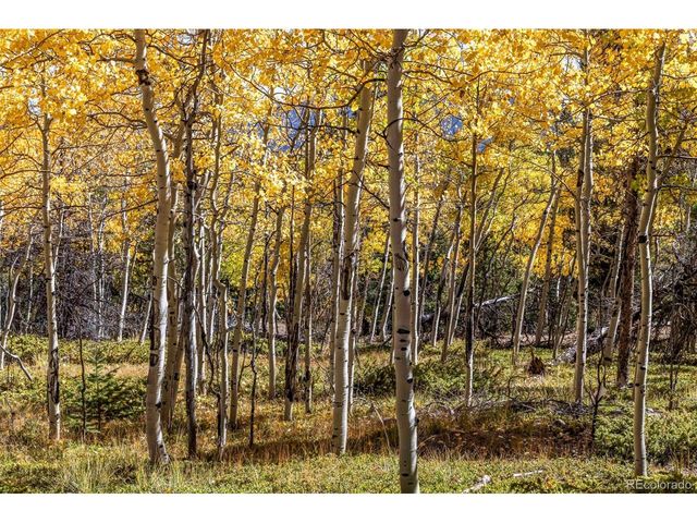 719 Miners Candle Rd, Idaho Springs, CO 80452