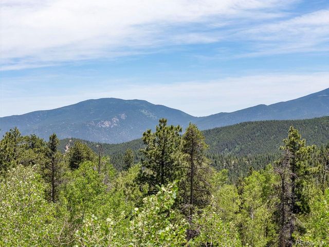 719 Miners Candle Rd, Idaho Springs, CO 80452