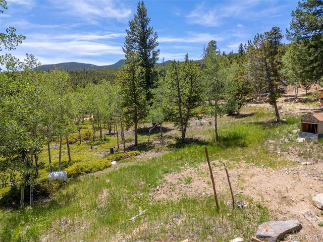 719 Miners Candle Rd, Idaho Springs, CO 80452