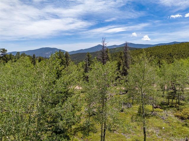 719 Miners Candle Rd, Idaho Springs, CO 80452