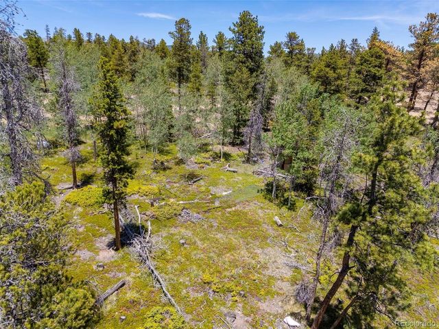 719 Miners Candle Rd, Idaho Springs, CO 80452