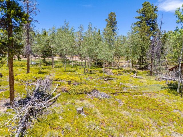 719 Miners Candle Rd, Idaho Springs, CO 80452