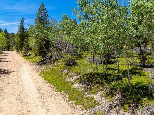 719 Miners Candle Rd, Idaho Springs, CO 80452