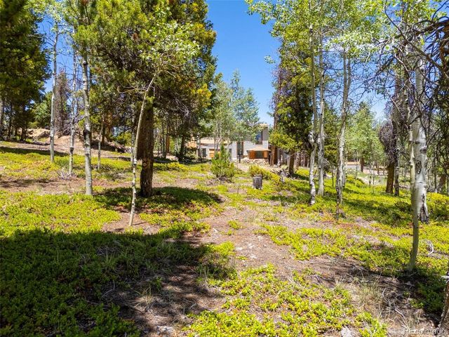 719 Miners Candle Rd, Idaho Springs, CO 80452