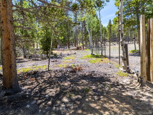 719 Miners Candle Rd, Idaho Springs, CO 80452
