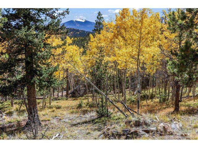 719 Miners Candle Rd, Idaho Springs, CO 80452