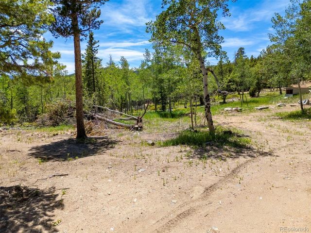 719 Miners Candle Rd, Idaho Springs, CO 80452
